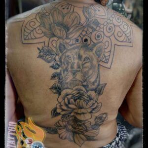 51396470687_0dc84894fa_o